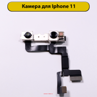 115597 115597